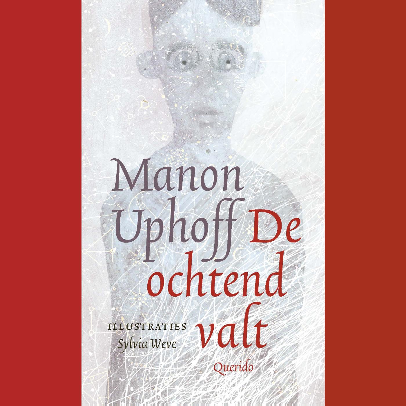 Omslag van De ochtend valt