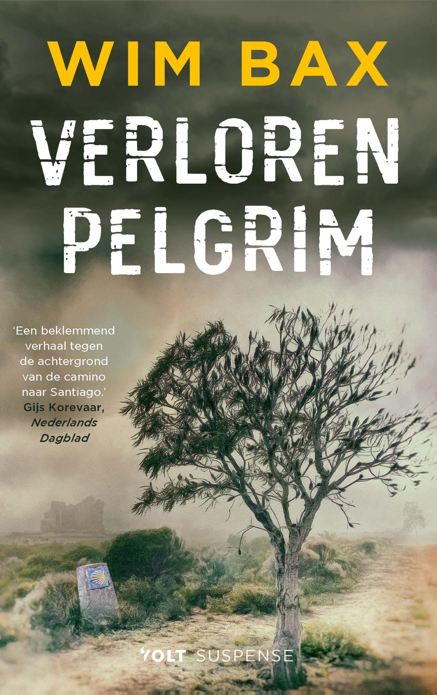 Omslag van Verloren pelgrim