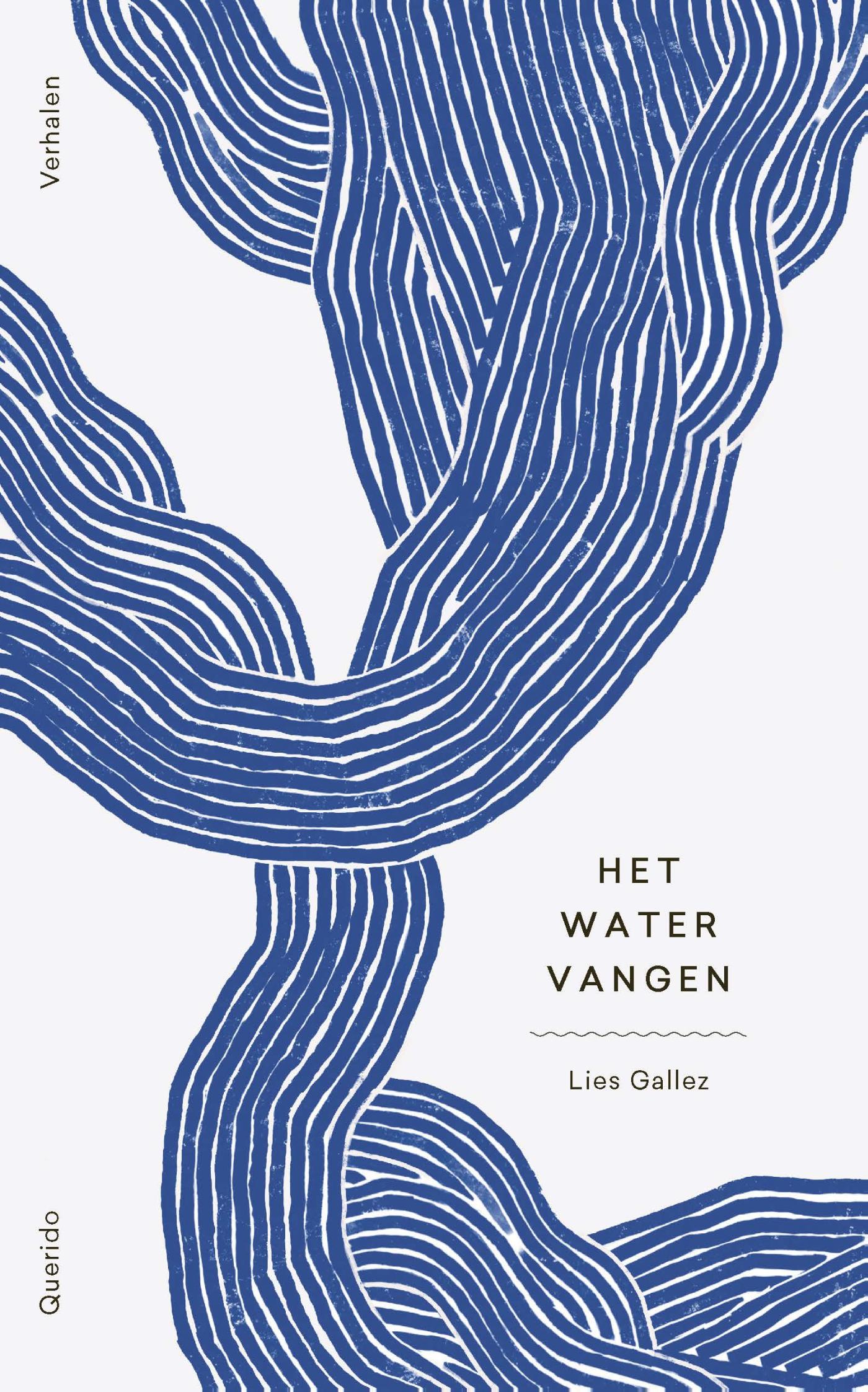 Omslag van Het water vangen