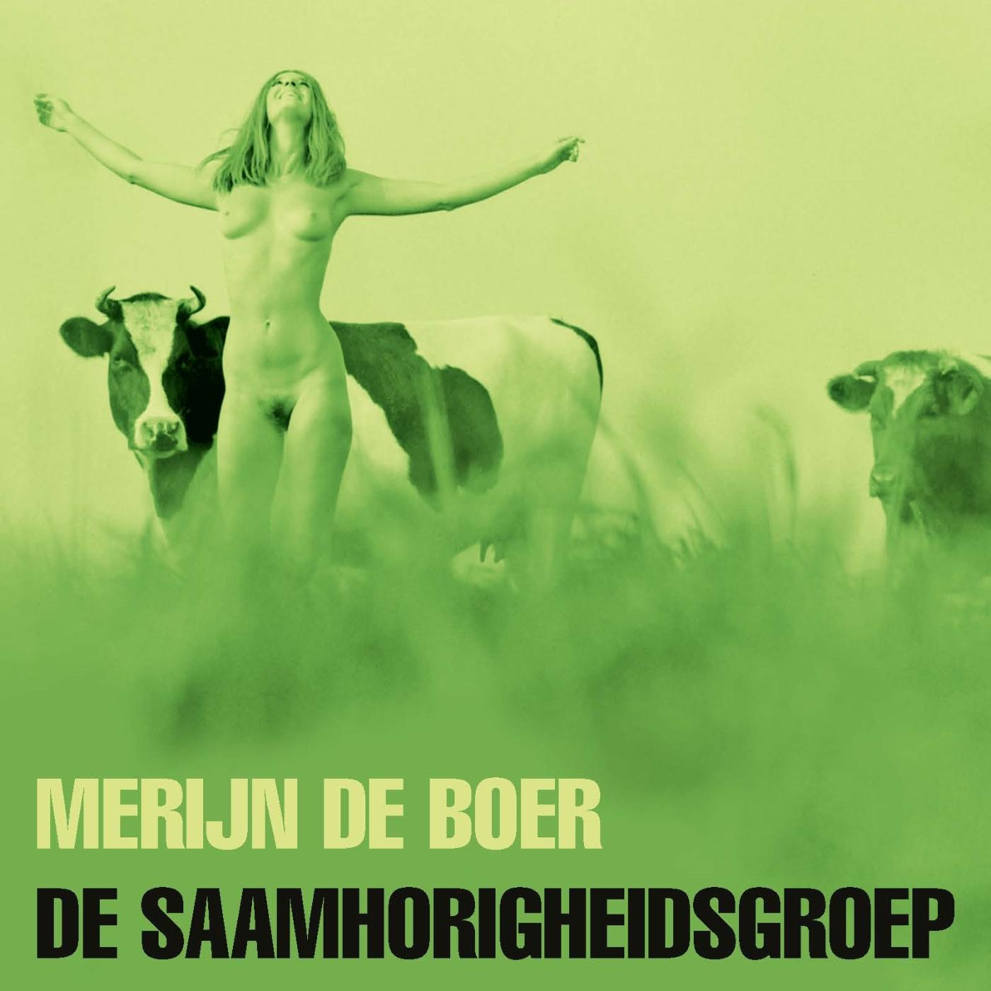 Omslag van De Saamhorigheidsgroep