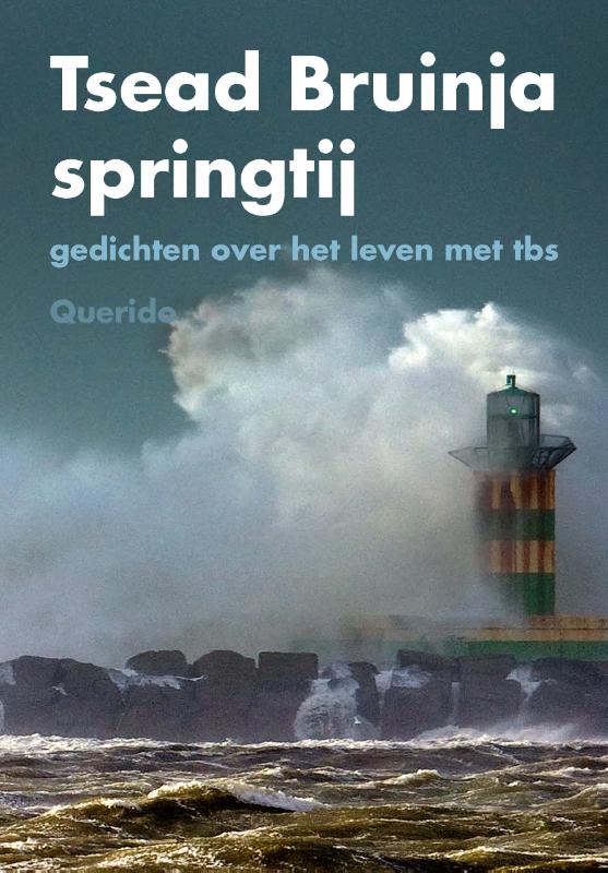 Omslag van Springtij