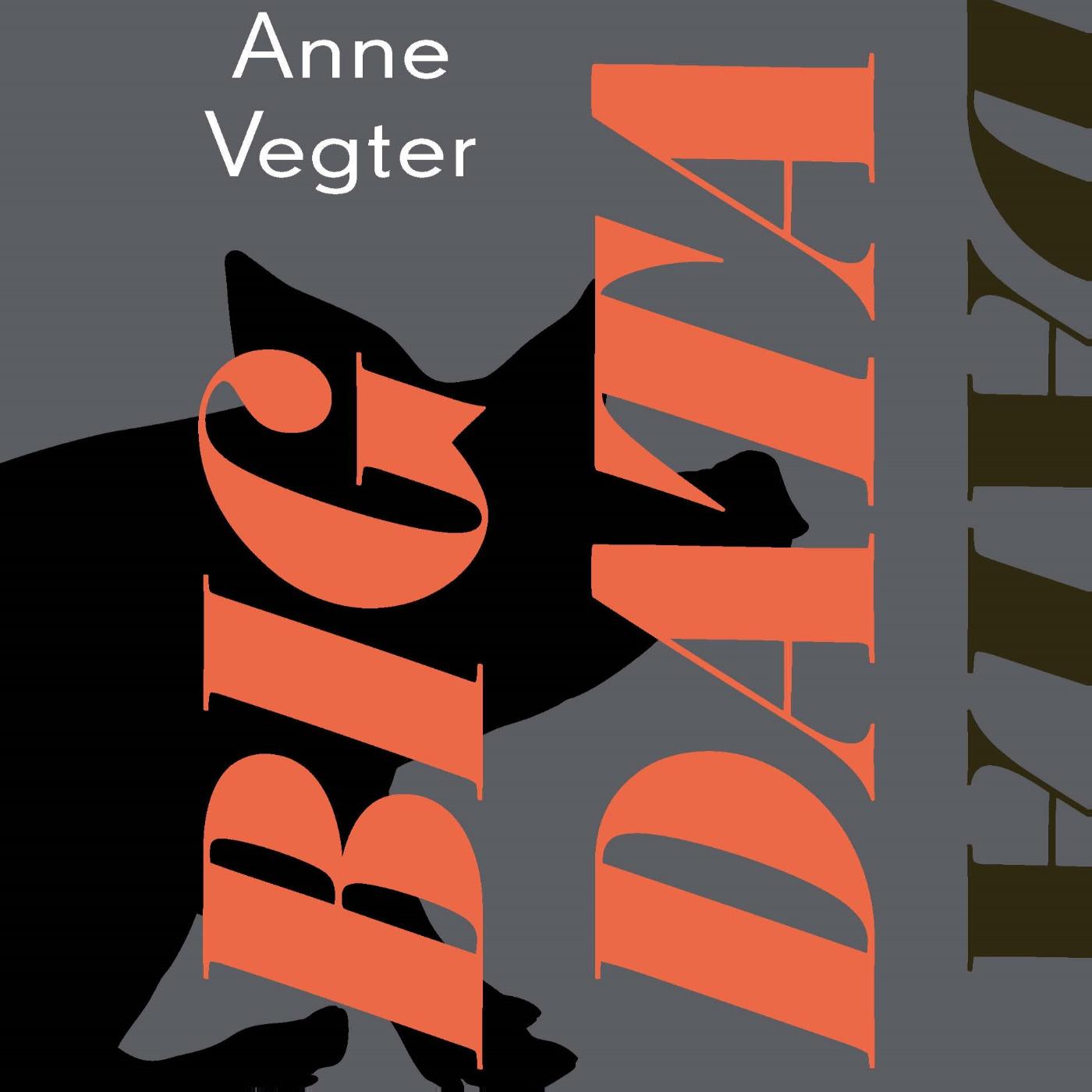 Omslag van Big data