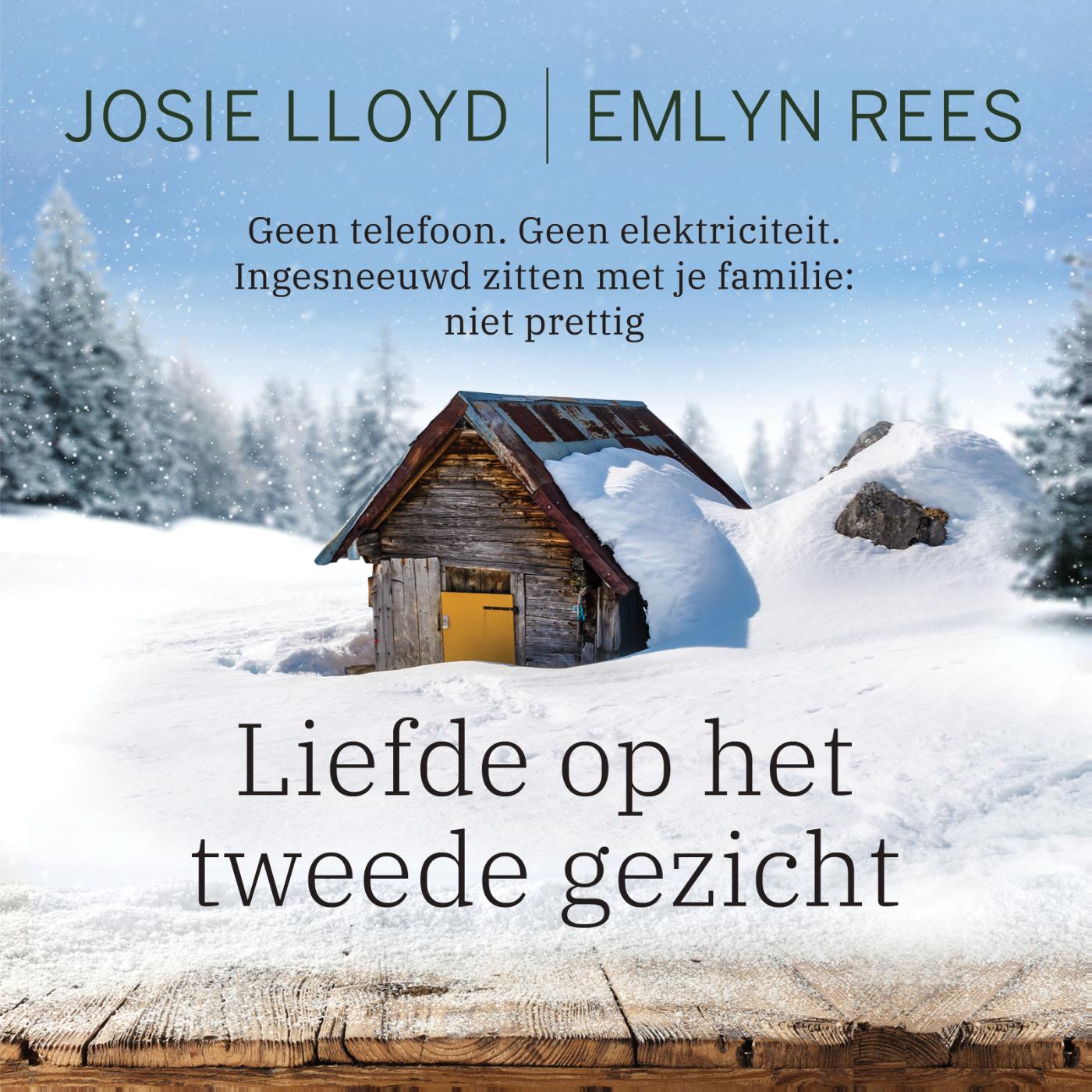 Omslag van Liefde op het tweede gezicht