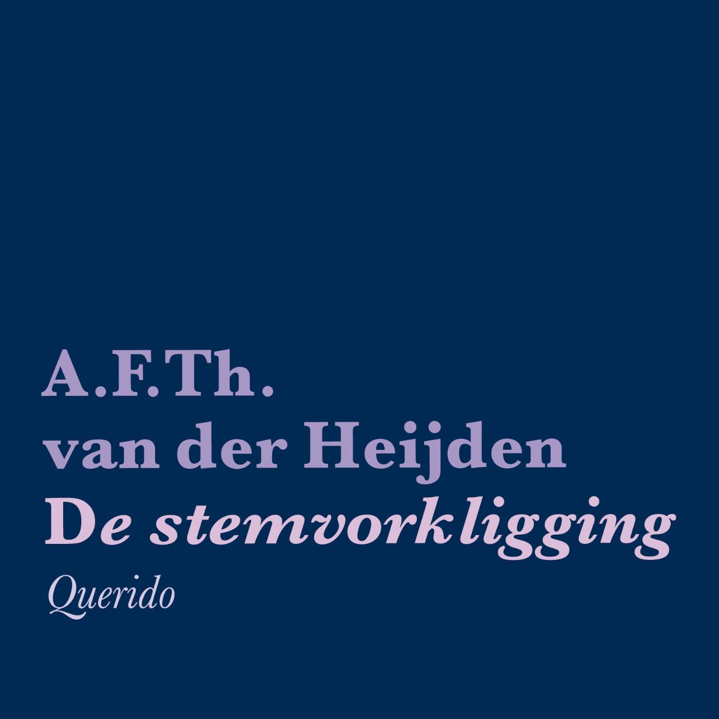 Omslag van De stemvorkligging