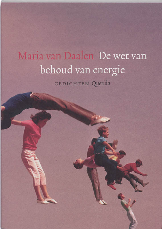 Omslag van De wet van behoud van energie