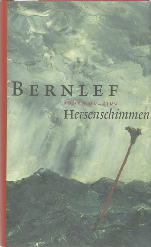 Omslag van Hersenschimmen