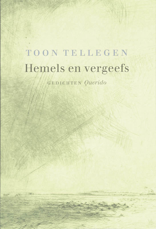 Omslag van Hemels en vergeefs