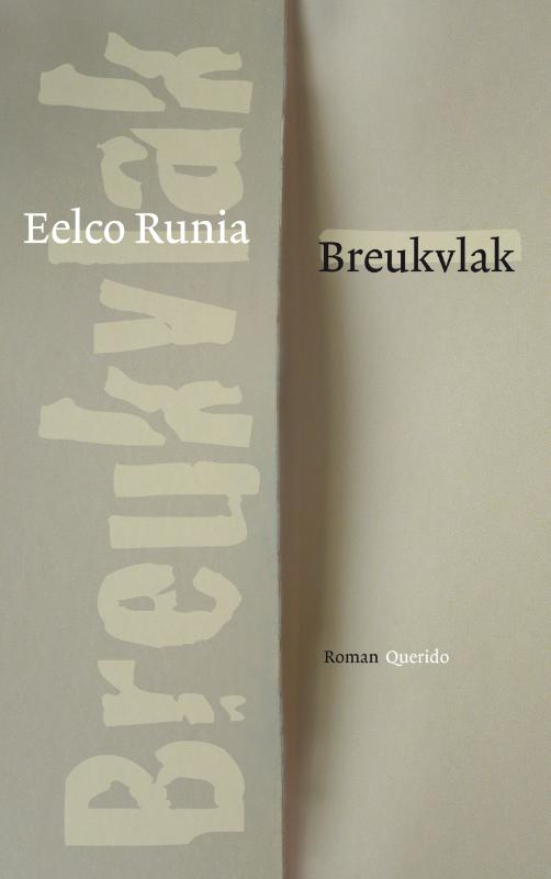 Omslag van Breukvlak