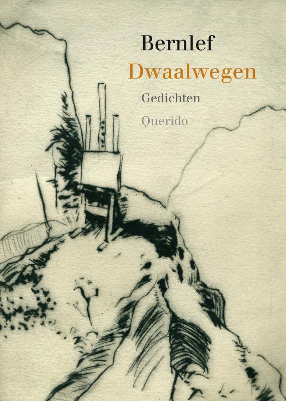 Omslag van Dwaalwegen