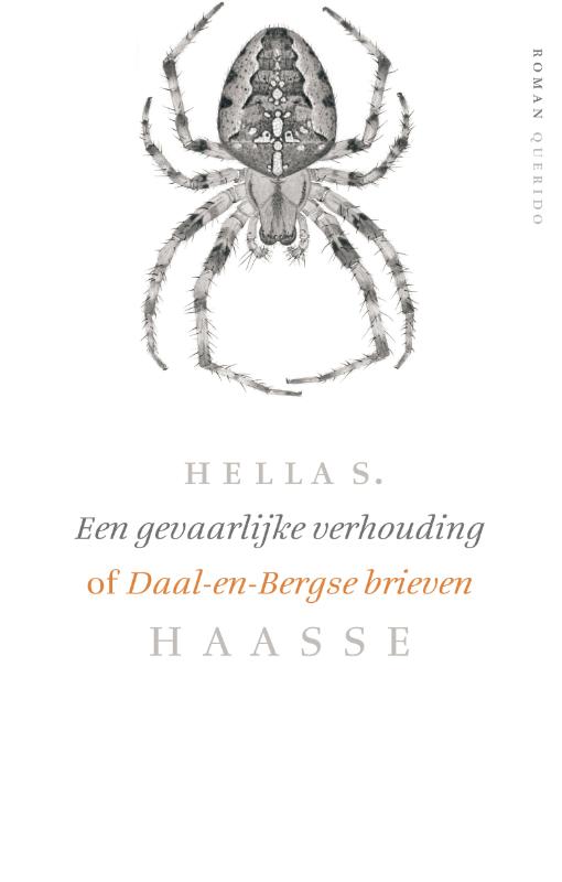 Omslag van Een gevaarlijke verhouding