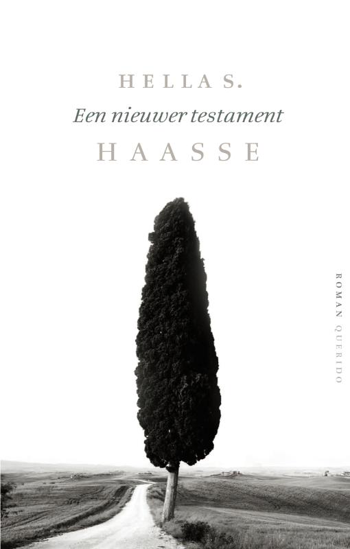Omslag van Een nieuwer testament