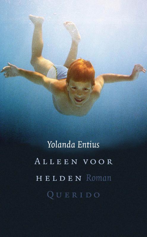Omslag van Alleen voor helden