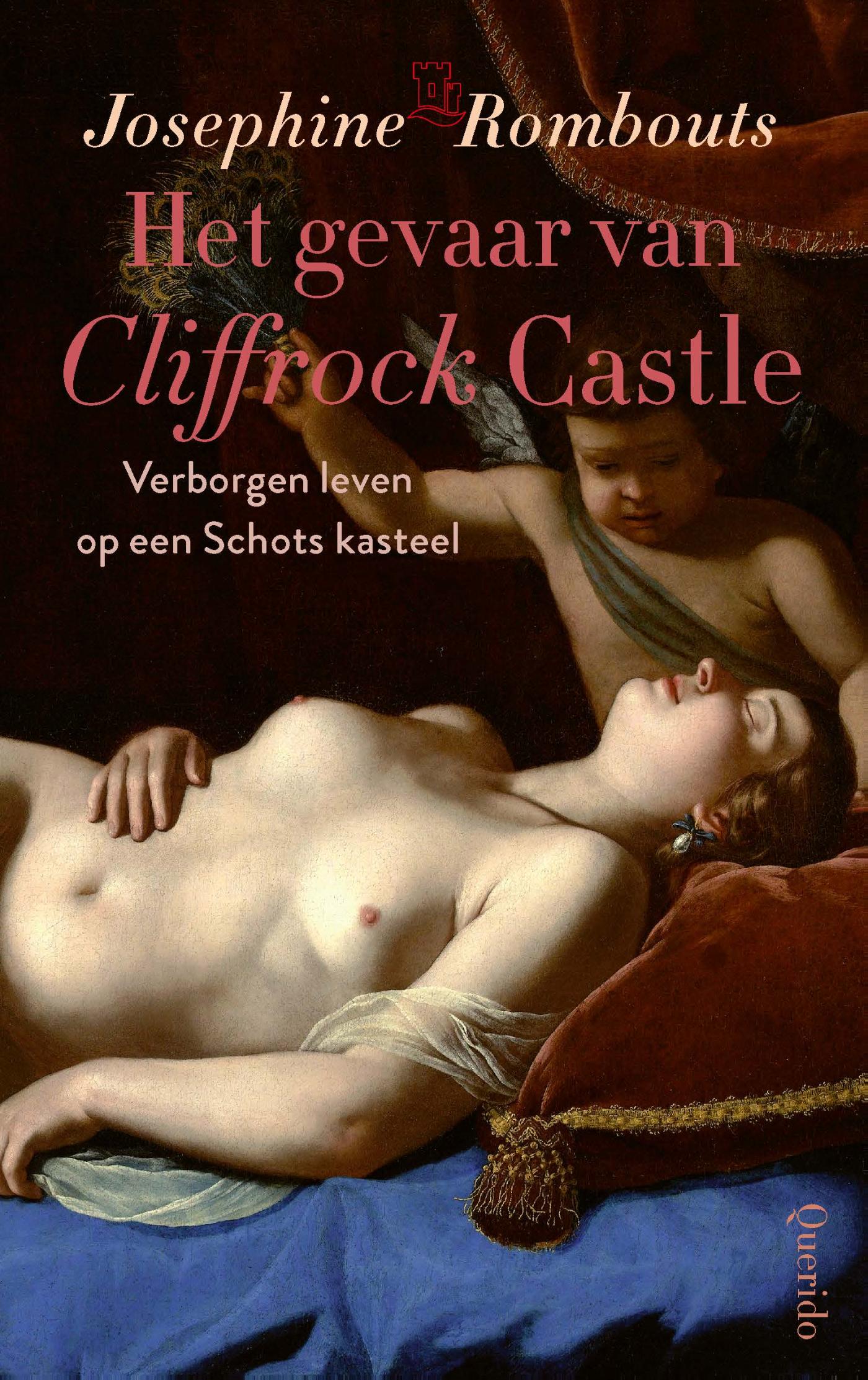 Omslag van Het gevaar van Cliffrock Castle