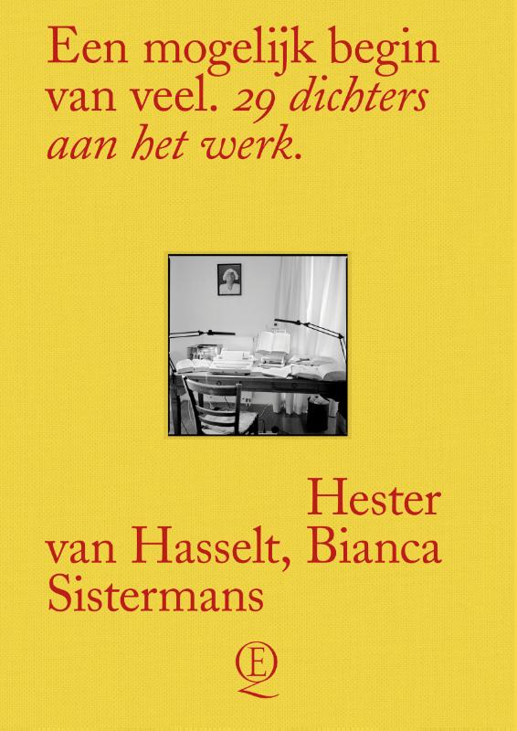 Omslag van Een mogelijk begin van veel