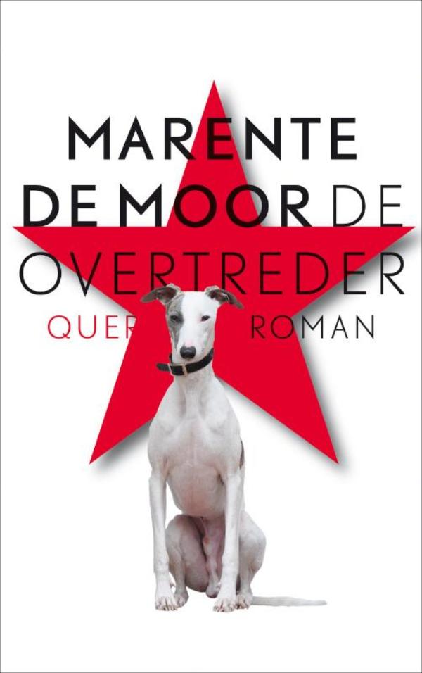 Omslag van De overtreder