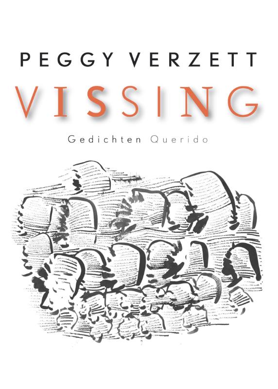 Omslag van Vissing