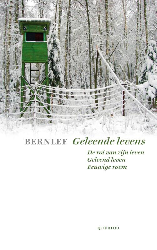 Omslag van Geleende levens