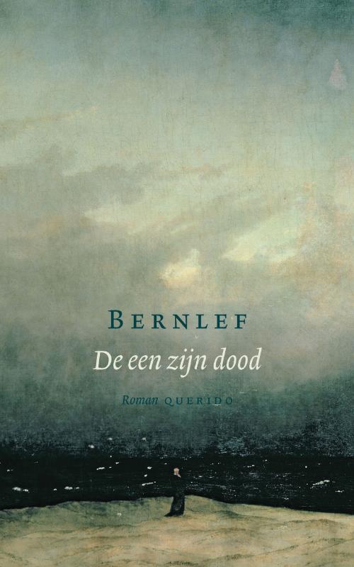 Omslag van De een zijn dood