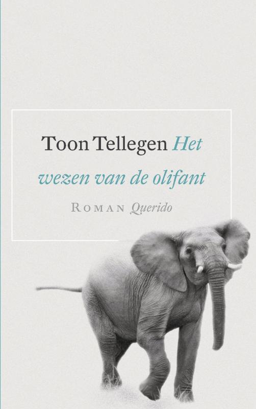 Omslag van Het wezen van de olifant