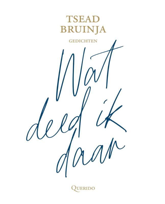 Omslag van Wat deed ik daar