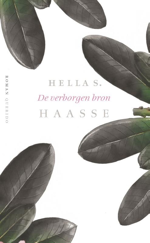 Omslag van De verborgen bron