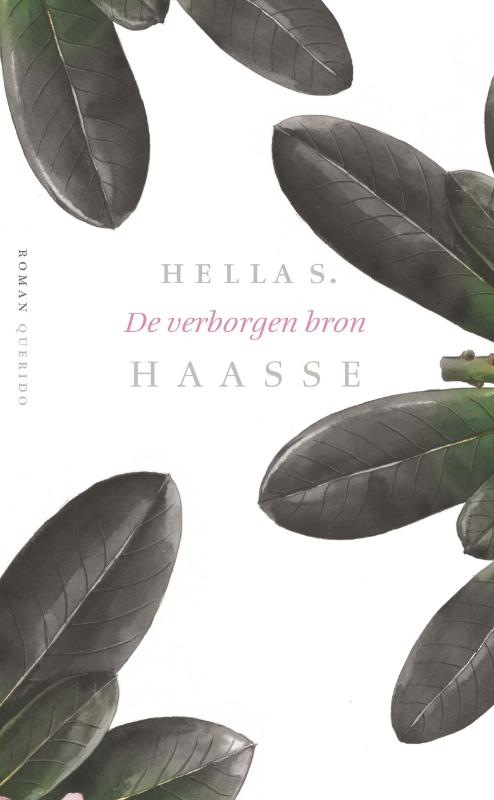 Omslag van De verborgen bron
