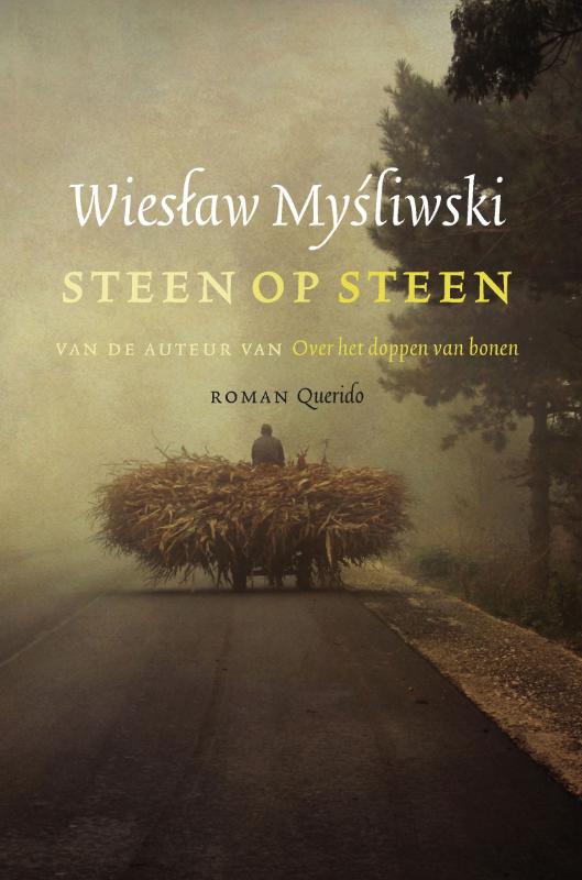 Omslag van Steen op steen