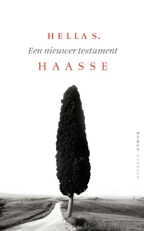 Omslag van Een nieuwer testament