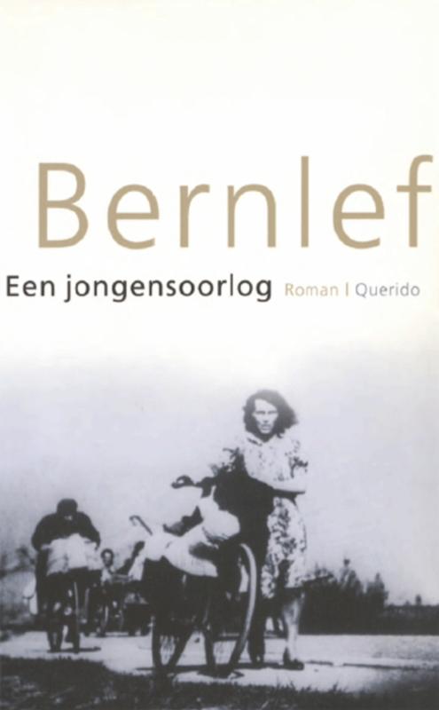 Omslag van Een jongensoorlog