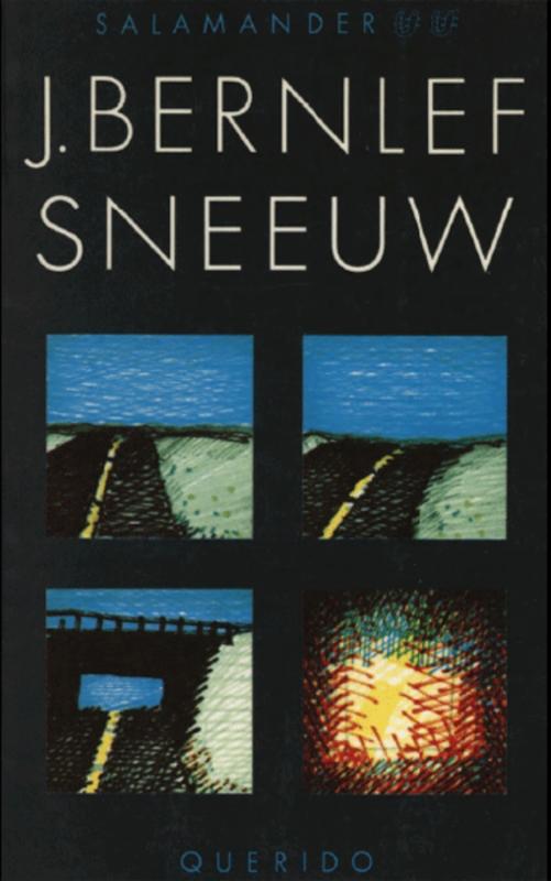 Omslag van Sneeuw