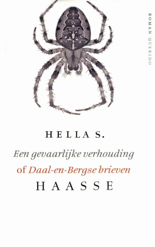 Omslag van Gevaarlijke verhouding