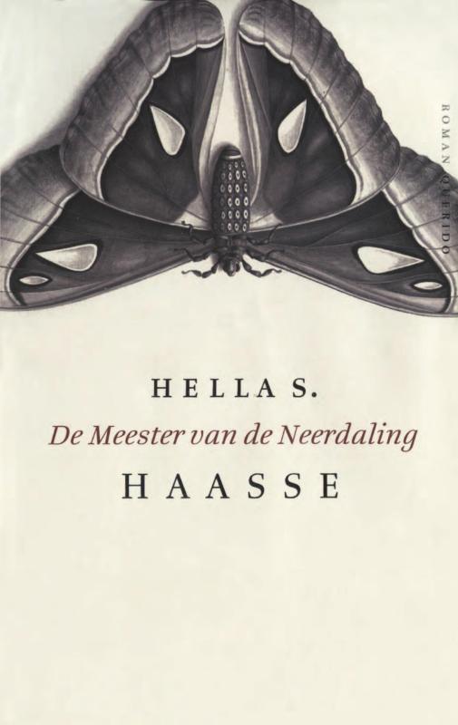Omslag van De meester van de neerdaling