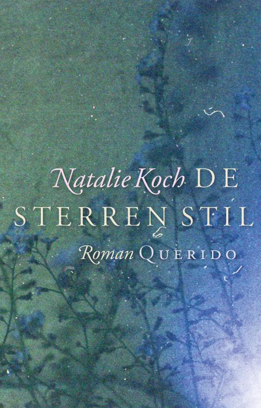 Omslag van De sterren stil