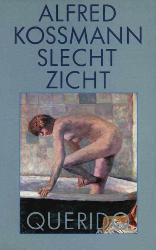 Omslag van Slecht zicht