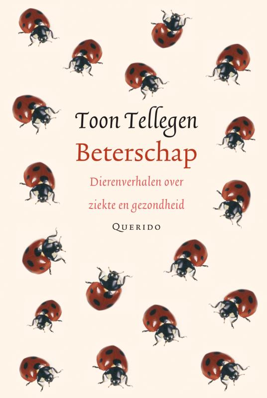 Omslag van Beterschap
