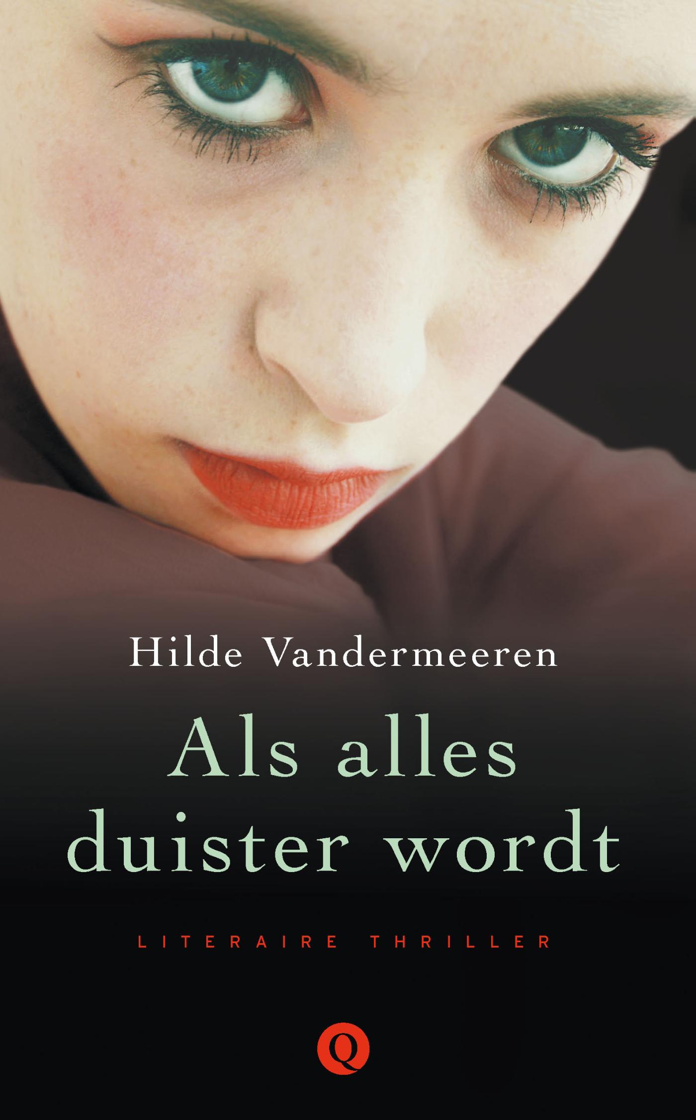 Omslag van Als alles duister wordt