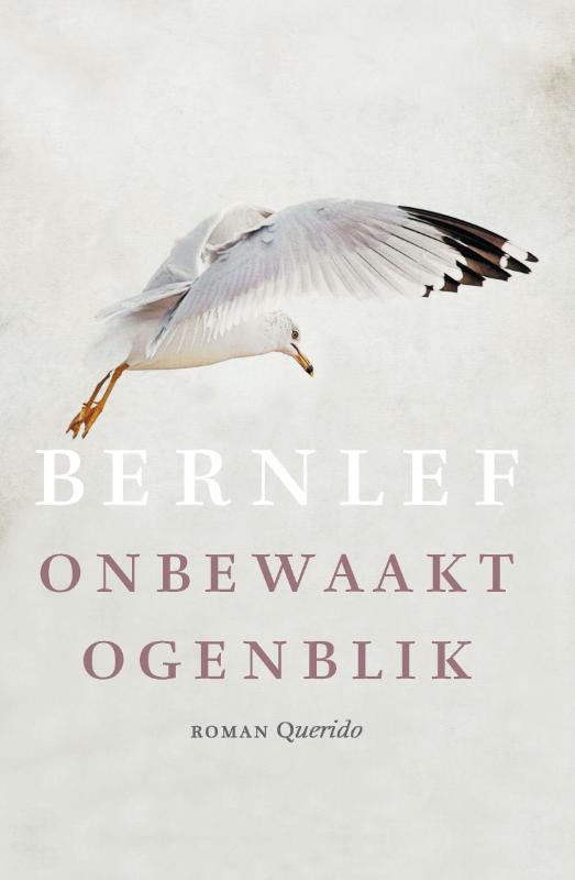Omslag van Onbewaakt ogenblik