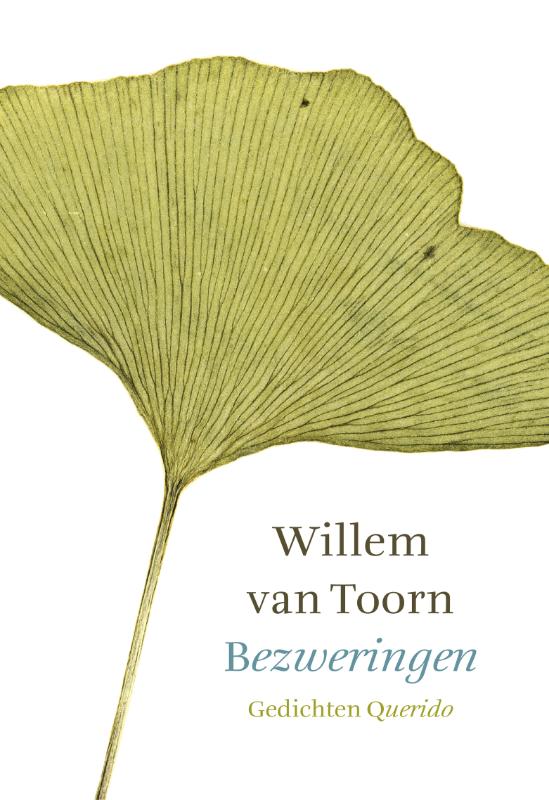 Omslag van Bezweringen
