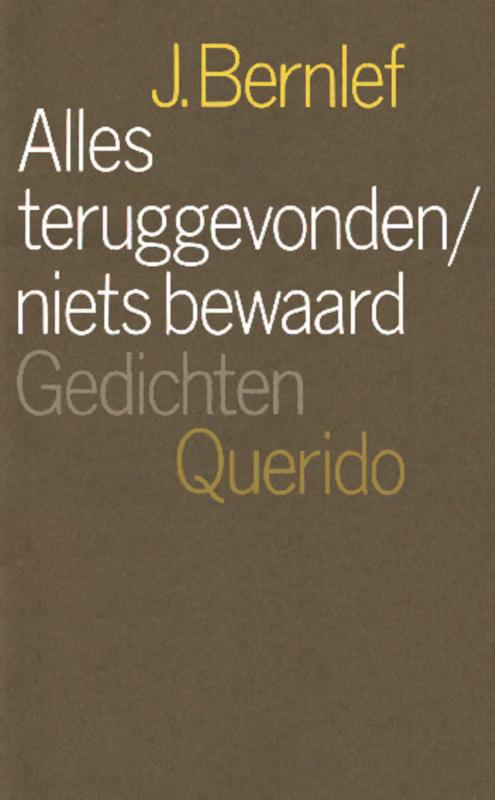 Omslag van Alles teruggevonden/niets bewaard