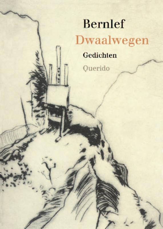 Omslag van Dwaalwegen
