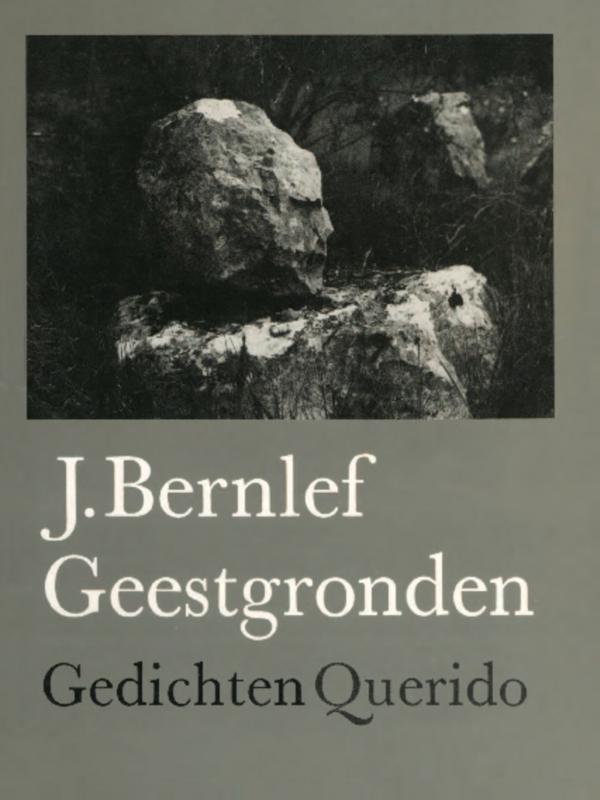 Omslag van Geestgronden