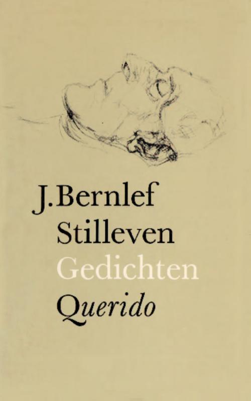 Omslag van Stilleven