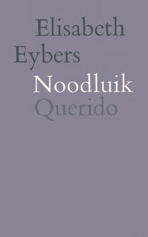 Omslag van Noodluik