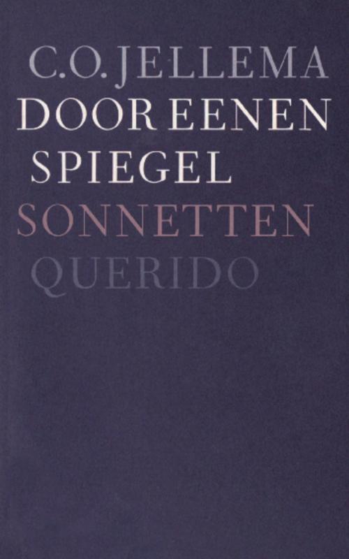Omslag van Door eenen spiegel