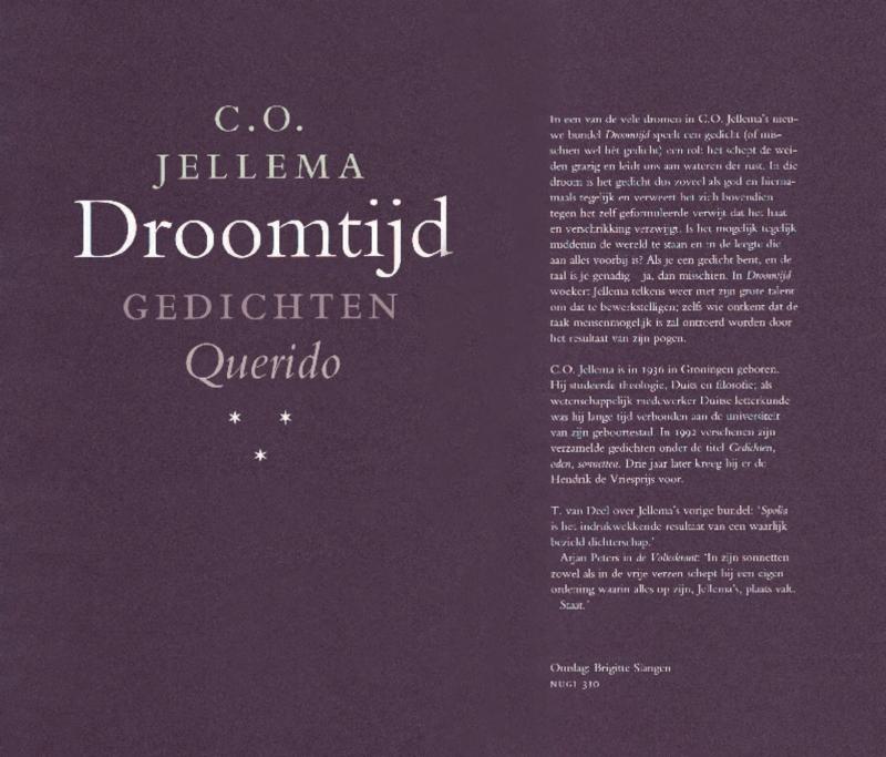 Omslag van Droomtijd