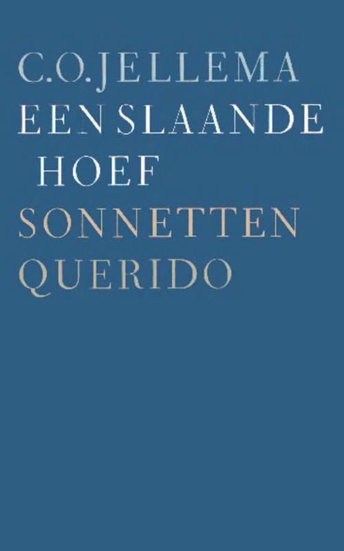 Omslag van Een slaande hoef