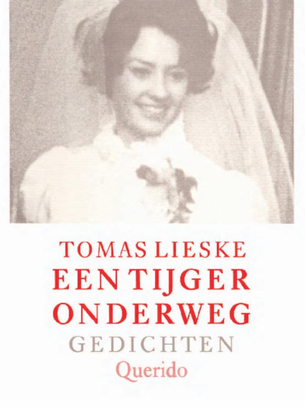 Omslag van Een tijger onderweg