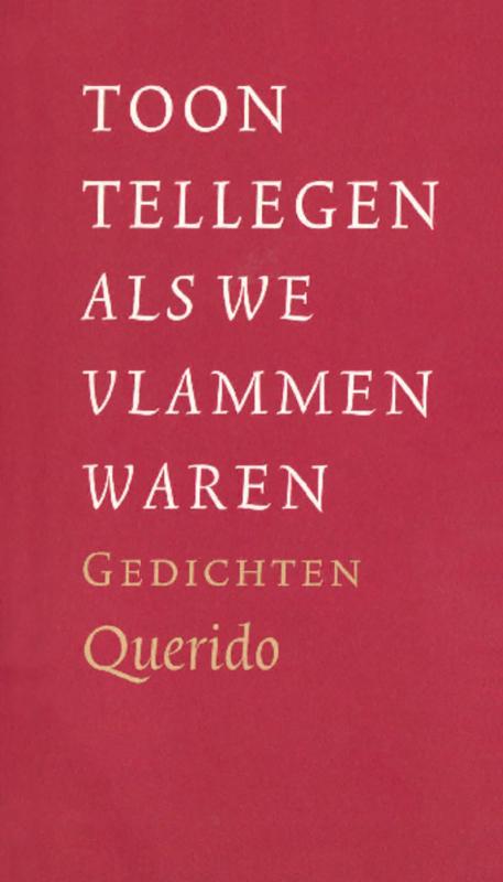 Omslag van Als we vlammen waren