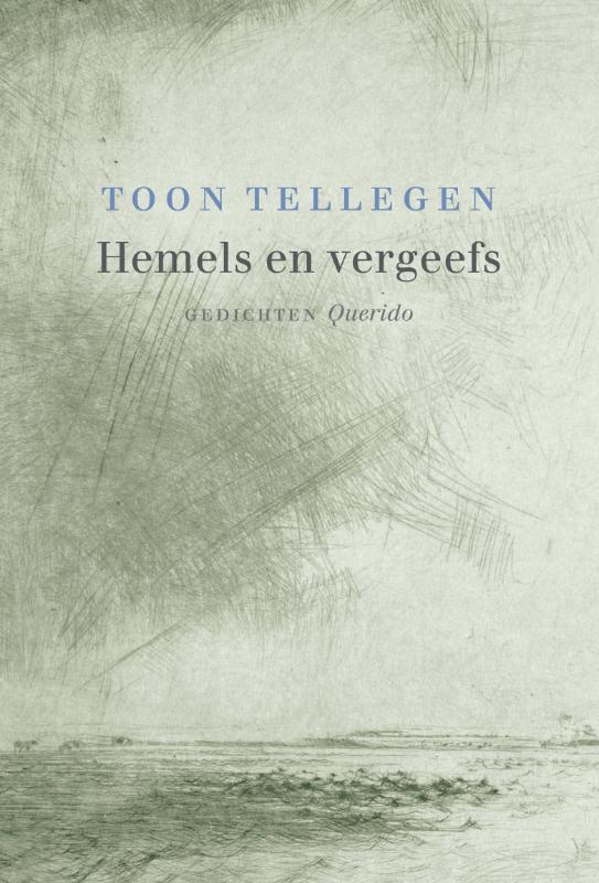 Omslag van Hemels en vergeefs