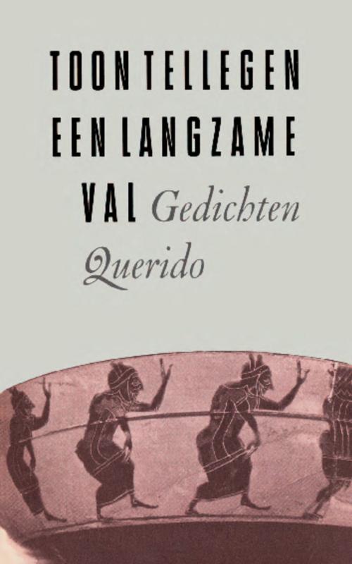 Omslag van Een langzame val